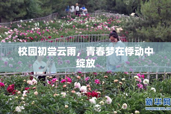 校园初尝云雨，青春梦在悸动中绽放