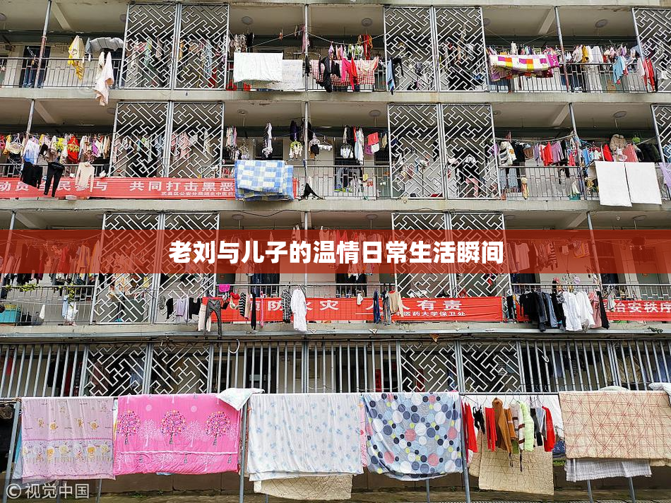 老刘与儿子的温情日常生活瞬间