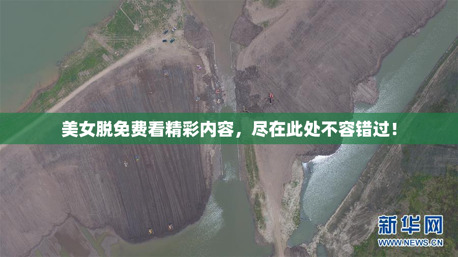 美女脱免费看精彩内容，尽在此处不容错过！