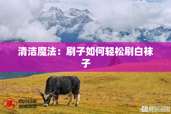 清洁魔法：刷子如何轻松刷白袜子