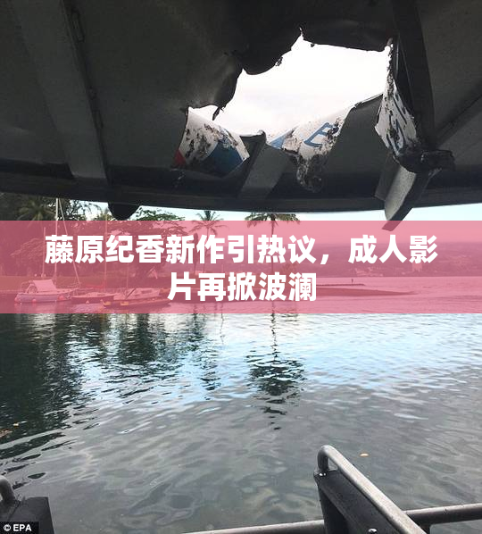 藤原纪香新作引热议，成人影片再掀波澜