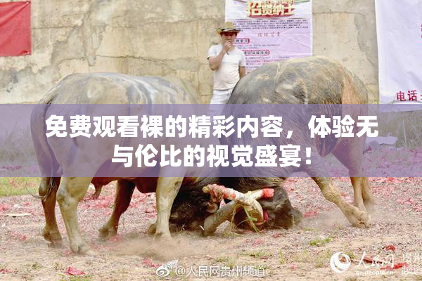 免费观看裸的精彩内容，体验无与伦比的视觉盛宴！