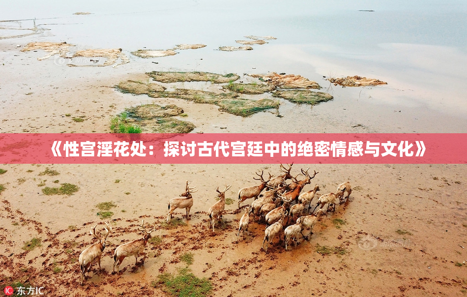 《性宫淫花处：探讨古代宫廷中的绝密情感与文化》