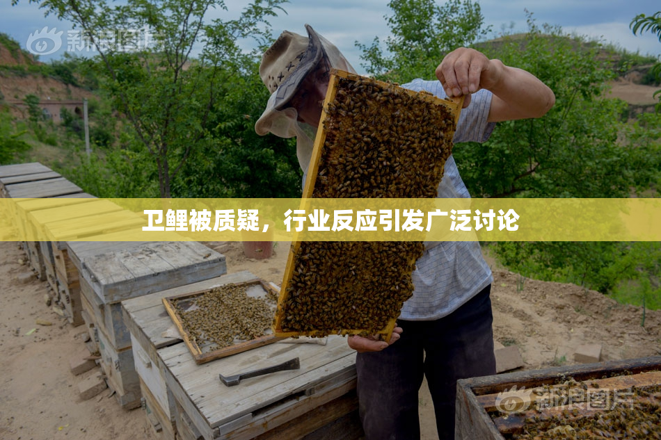 卫鲤被质疑，行业反应引发广泛讨论