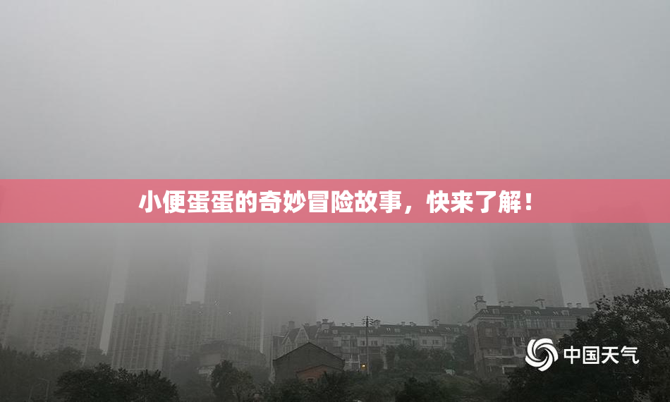 小便蛋蛋的奇妙冒险故事，快来了解！