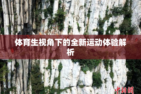 体育生视角下的全新运动体验解析