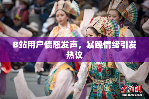 B站用户愤怒发声，暴躁情绪引发热议