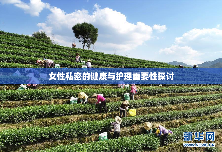 女性私密的健康与护理重要性探讨