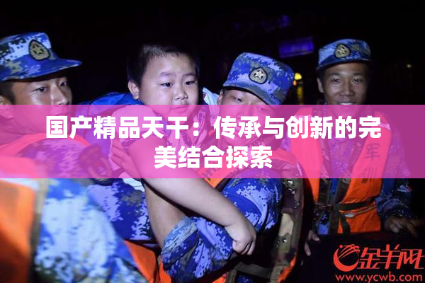 国产精品天干：传承与创新的完美结合探索