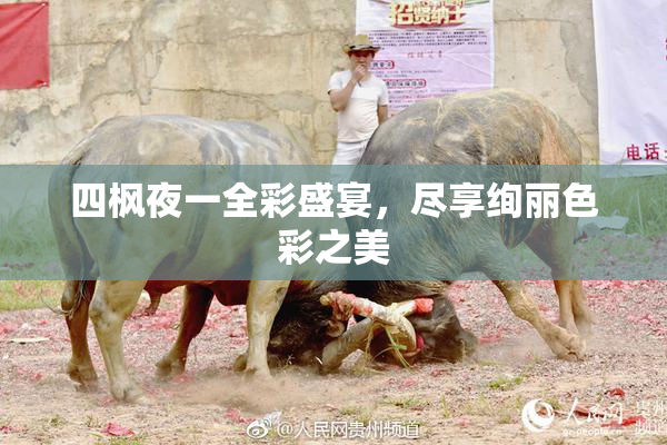 四枫夜一全彩盛宴，尽享绚丽色彩之美