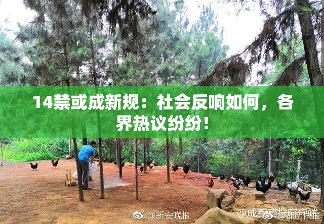 14禁或成新规：社会反响如何，各界热议纷纷！