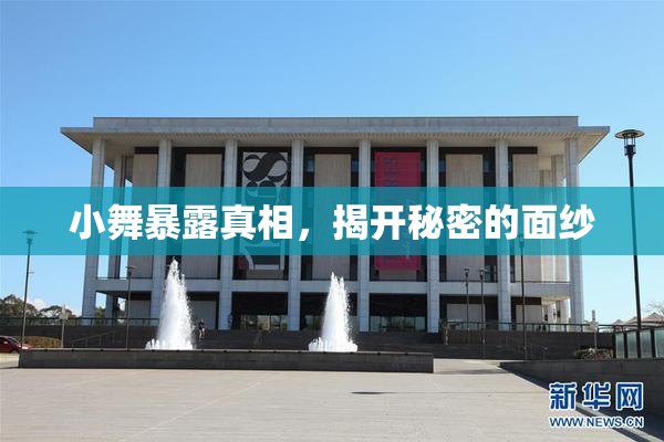 小舞暴露真相，揭开秘密的面纱