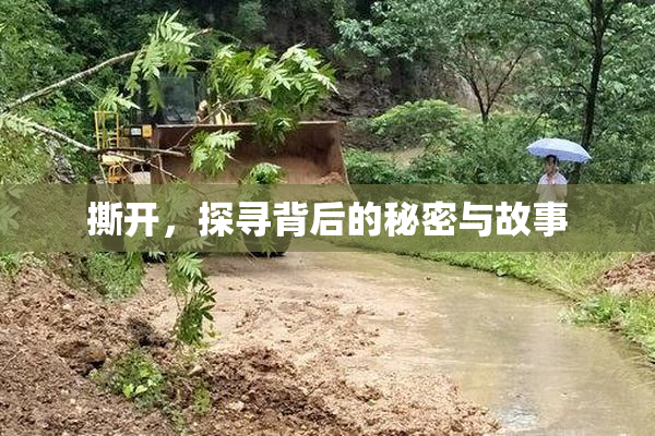 撕开，探寻背后的秘密与故事