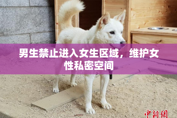 男生禁止进入女生区域，维护女性私密空间