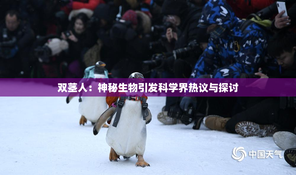 双茎人：神秘生物引发科学界热议与探讨