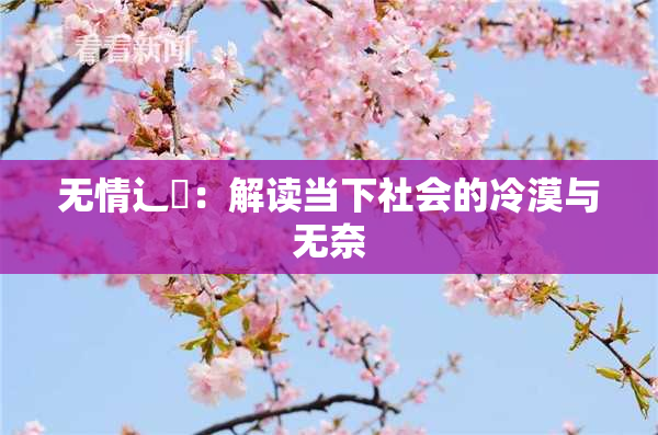 无情辶喿：解读当下社会的冷漠与无奈