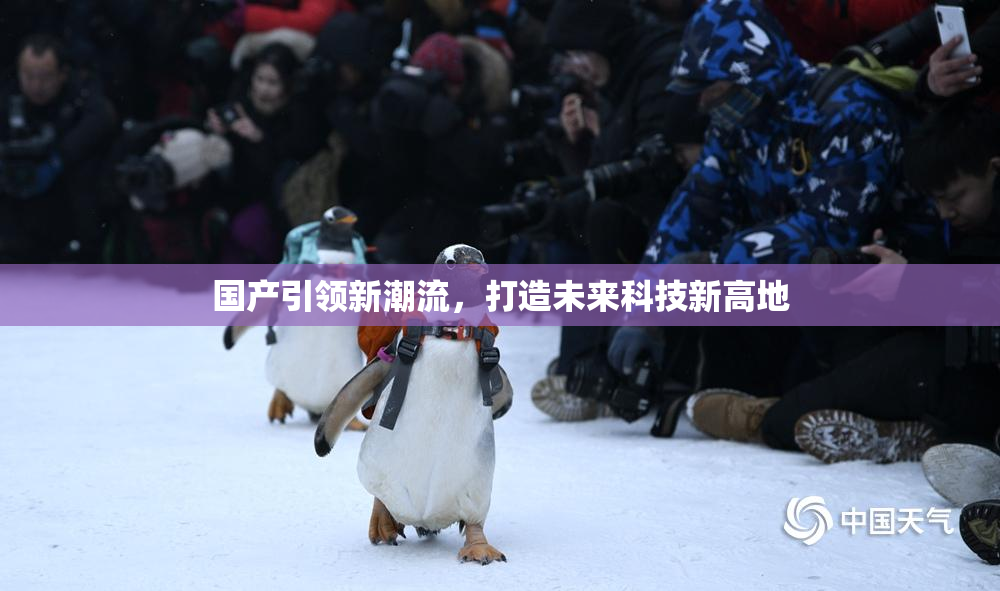 国产引领新潮流，打造未来科技新高地