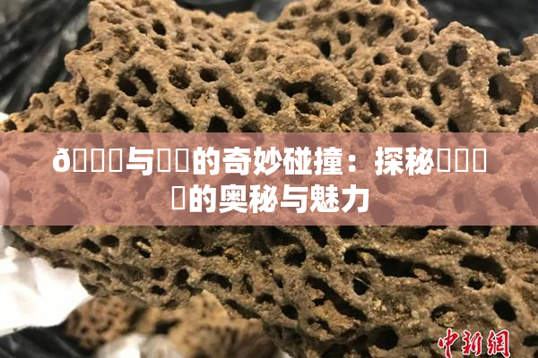 🍆与❌‌的奇妙碰撞：探秘❌‌❌‌的奥秘与魅力