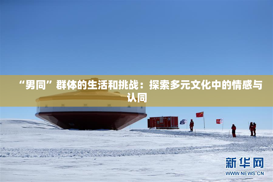 “男同”群体的生活和挑战：探索多元文化中的情感与认同