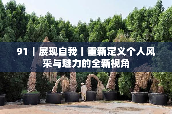 91丨展现自我丨重新定义个人风采与魅力的全新视角