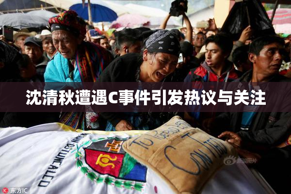 沈清秋遭遇C事件引发热议与关注