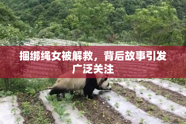 捆绑绳女被解救，背后故事引发广泛关注