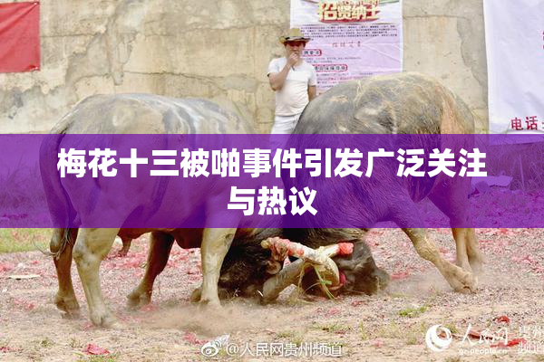 梅花十三被啪事件引发广泛关注与热议
