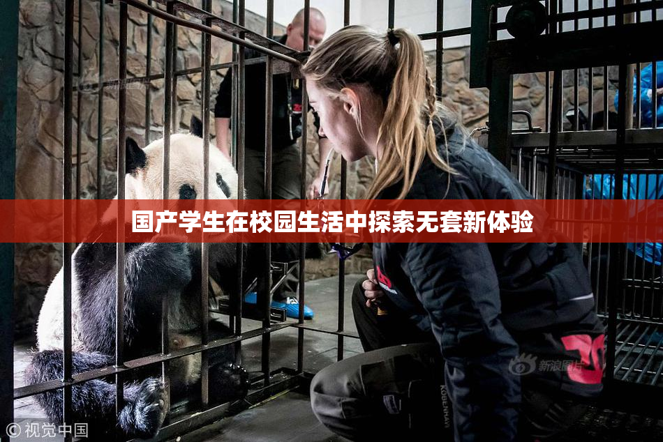 国产学生在校园生活中探索无套新体验
