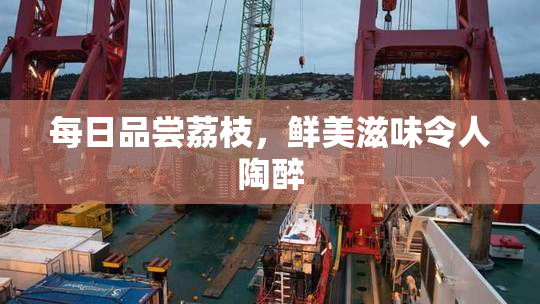每日品尝荔枝，鲜美滋味令人陶醉