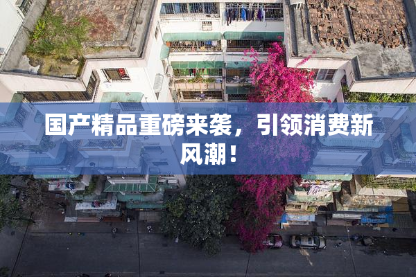 国产精品重磅来袭，引领消费新风潮！