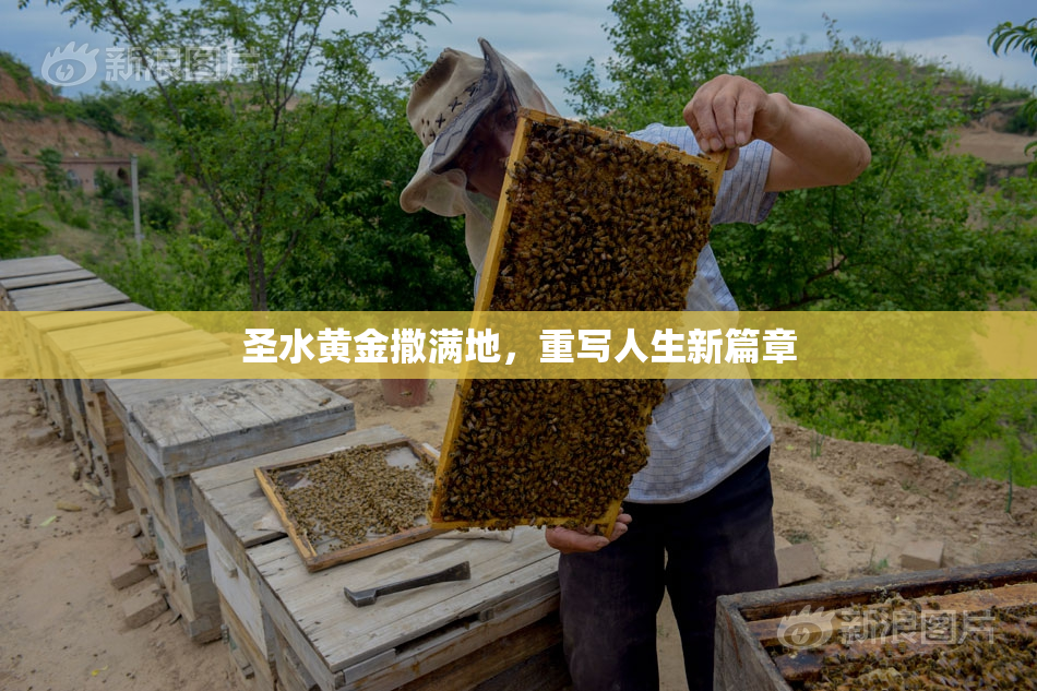 圣水黄金撒满地，重写人生新篇章