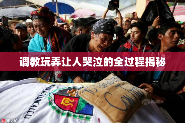 调教玩弄让人哭泣的全过程揭秘