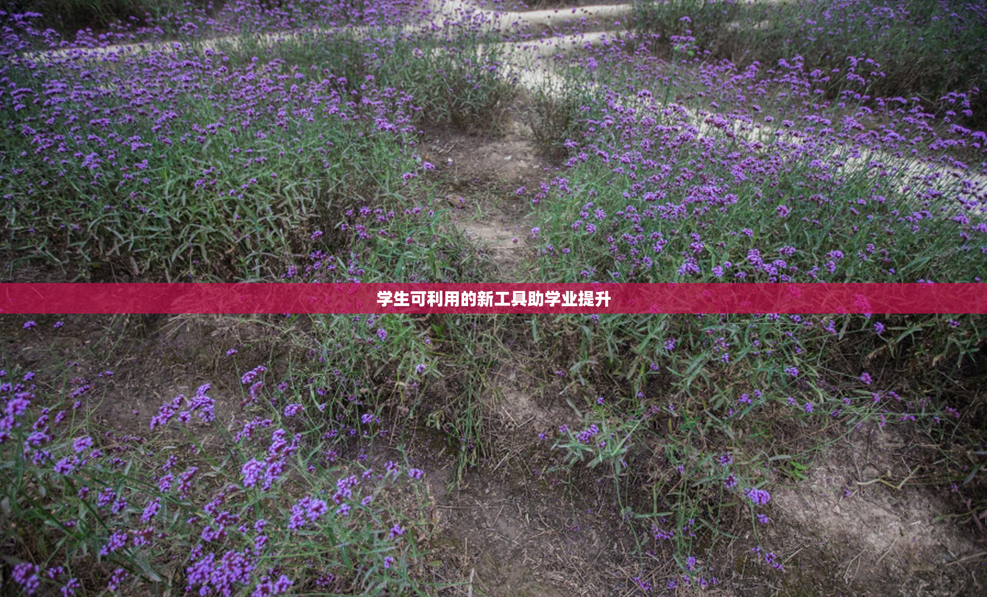 学生可利用的新工具助学业提升