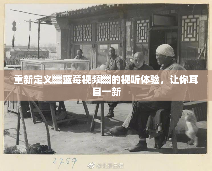 重新定义▓蓝莓视频▓的视听体验，让你耳目一新