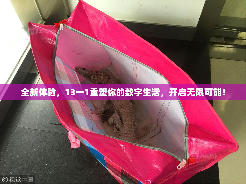 全新体验，13一1重塑你的数字生活，开启无限可能！