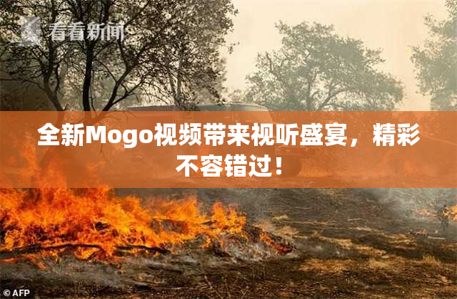 全新Mogo视频带来视听盛宴，精彩不容错过！