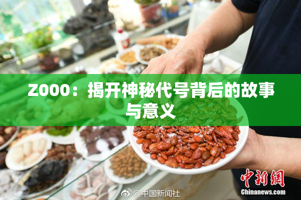Z000：揭开神秘代号背后的故事与意义