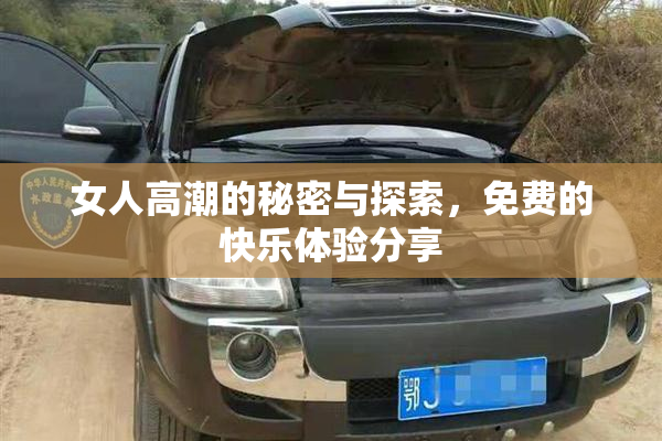 女人高潮的秘密与探索，免费的快乐体验分享