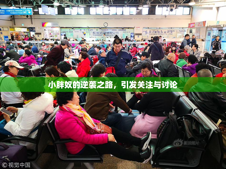 小胖奴的逆袭之路，引发关注与讨论