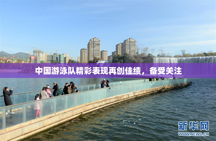 中国游泳队精彩表现再创佳绩，备受关注
