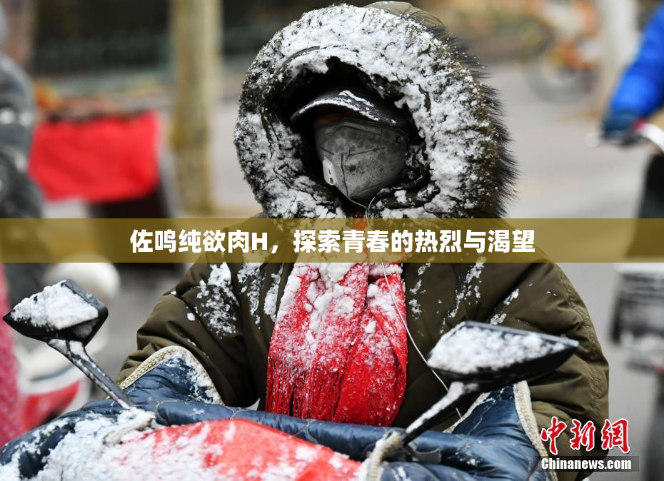 佐鸣纯欲肉H，探索青春的热烈与渴望