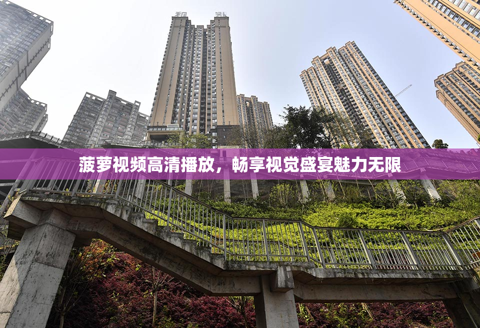菠萝视频高清播放，畅享视觉盛宴魅力无限