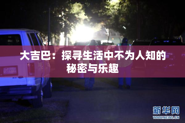 大吉巴：探寻生活中不为人知的秘密与乐趣