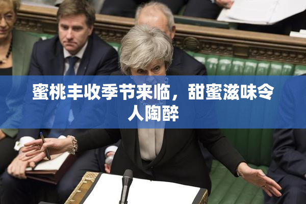 蜜桃丰收季节来临，甜蜜滋味令人陶醉