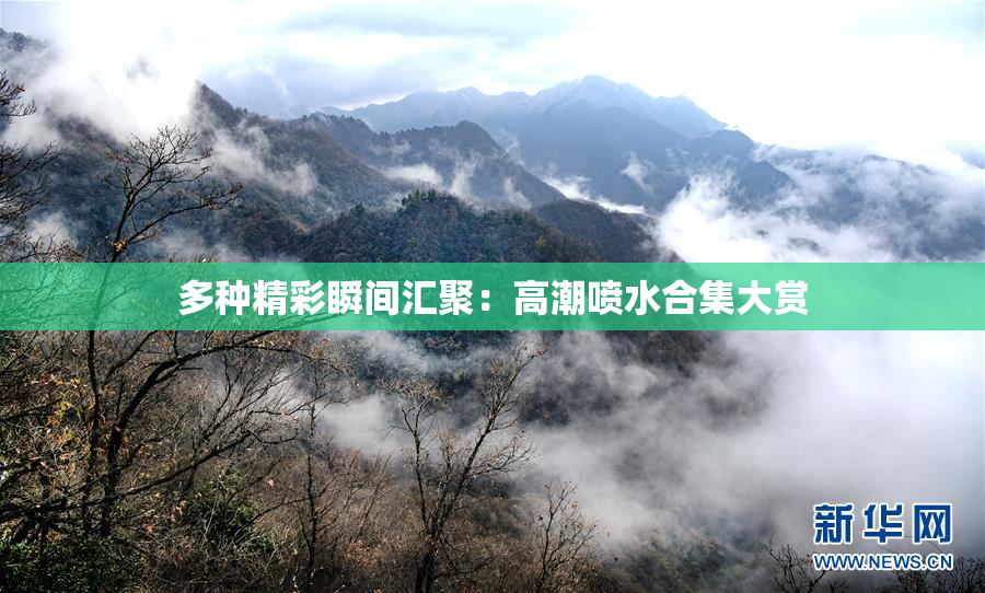 多种精彩瞬间汇聚：高潮喷水合集大赏