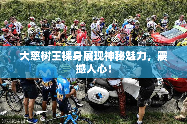 大慈树王裸身展现神秘魅力，震撼人心！