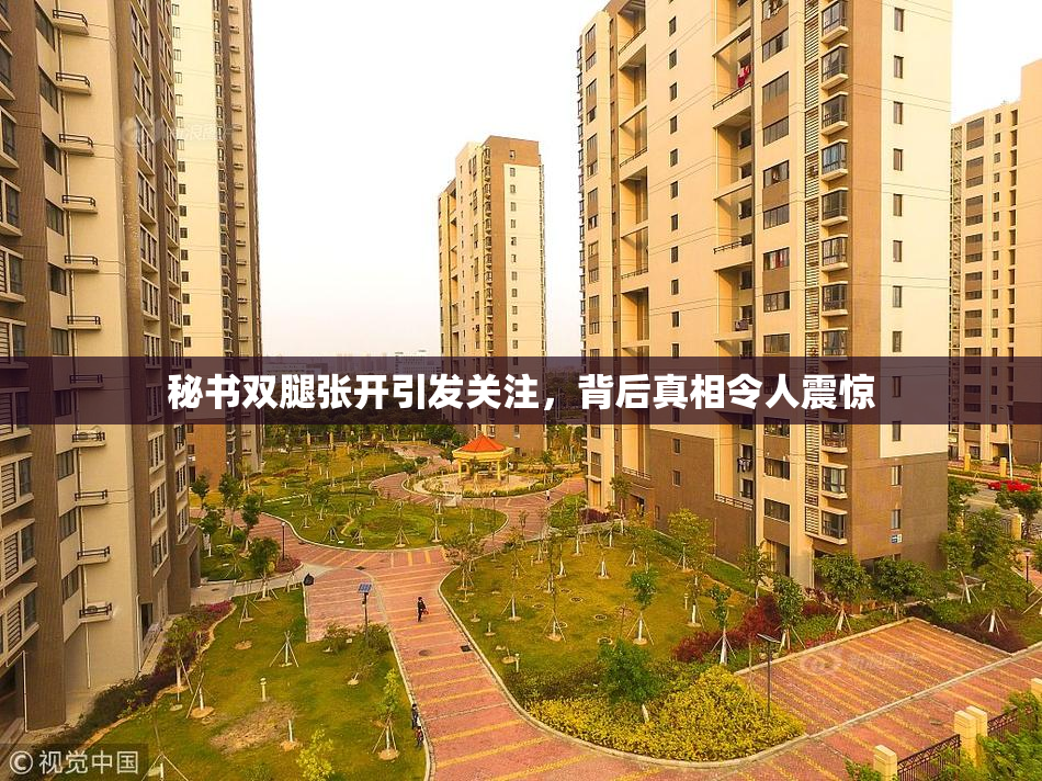 秘书双腿张开引发关注，背后真相令人震惊