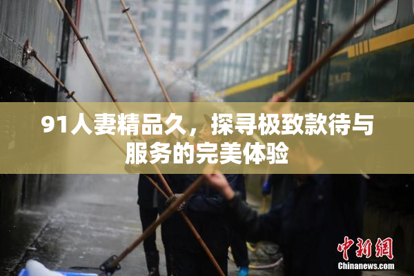 91人妻精品久，探寻极致款待与服务的完美体验