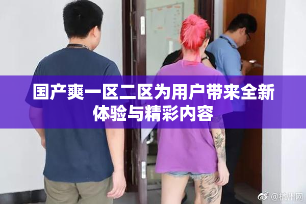 国产爽一区二区为用户带来全新体验与精彩内容