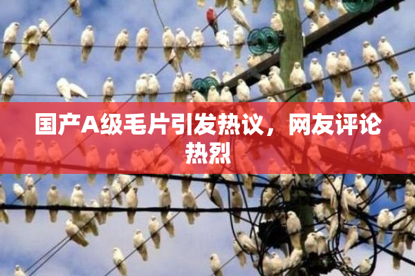 国产A级毛片引发热议，网友评论热烈